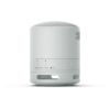 Sony SRSXB100H_CE7 Compact Bluetooth Wireless Speaker - Light Grey_control