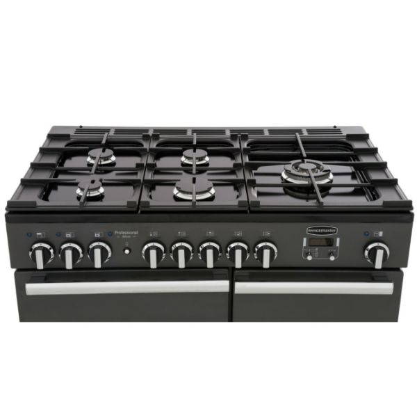 105930 PROFESSIONAL DL 10_cooker