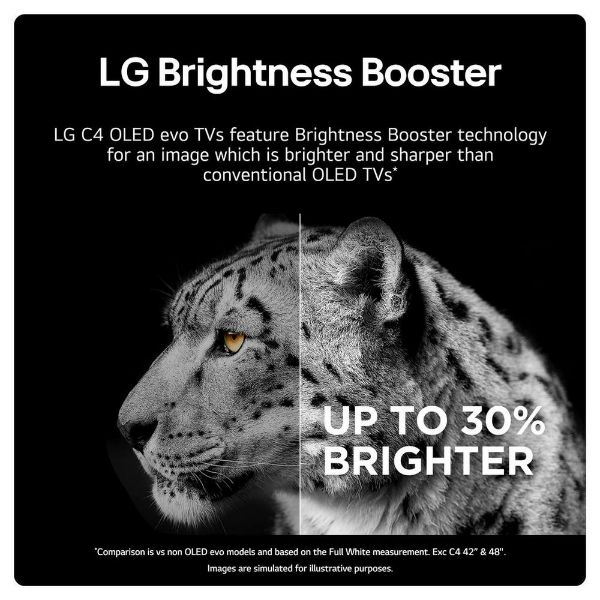 LG OLED55C46LA.AEK 55" 4K OLED EVO Smart TV _brightness