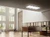 Elica SKYDOME-PLUS-RM Skydome Plus Cooker Hood for Remote Motor (Motor Not Included)_kitchen view
