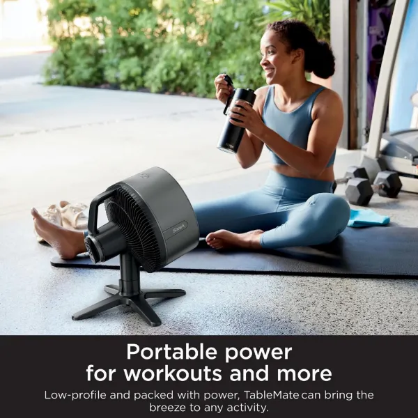Shark FA150UK FlexBreeze TableMate Indoor to OutdoorTabletop Fan - Winter Fog_portable power