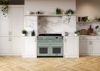 Rangemaster 15306 Deluxe 110 Induction Range Cooker in Mint with Chrome Trim - ESDLB110EIPMNT/CM1_room view