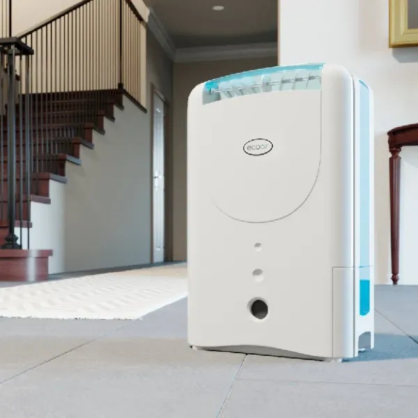 EcoAir DD1 MK6 CLASSIC Desiccant Dehumidifier_room view