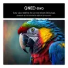 LG 55QNED85A6C.AEK 55" 4K QNED evo Smart TV_visuals