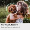 Samsung UE75U8020FKXXU 75" 4K Crystal UHD Smart TV_4K