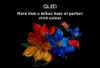 TCL 98P8K-UK 98" 4K QLED HDR Ultra HD Google TVTCL 98P8K-UK 98" 4K QLED HDR Ultra HD Google TV_visuals