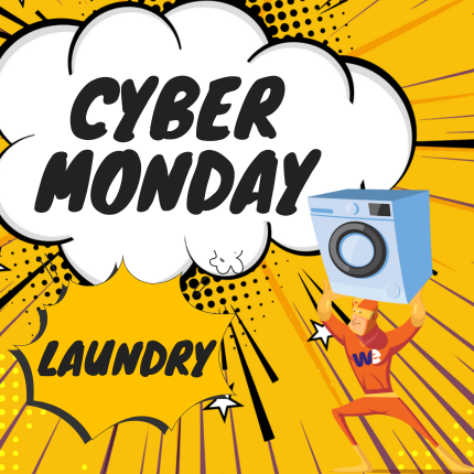 Cyber Monday Laundry Offers