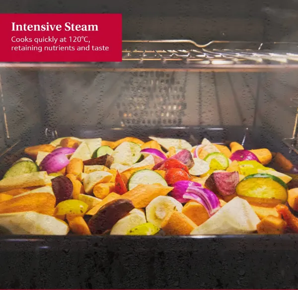 Neff B69FY5CX0 Flex Design N90 60cm Built-In Oven with Steam Function