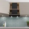 Bosch DBB67DP60B Integrated Design Hood in Matt black 