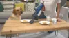 Numatic Henry Quick Pet Vacuum Cleaner - Blue_table