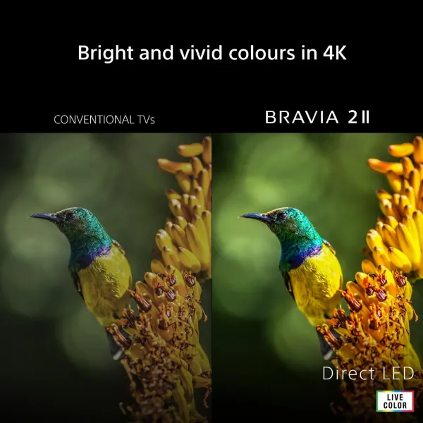 Sony K50S25M2PB.UKA 50" 4K BRAVIA 2 II Direct LED Google TV_colour