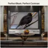 LG OLED83B6ELB.AEK 83" 4K OLED AI Smart TV_colour