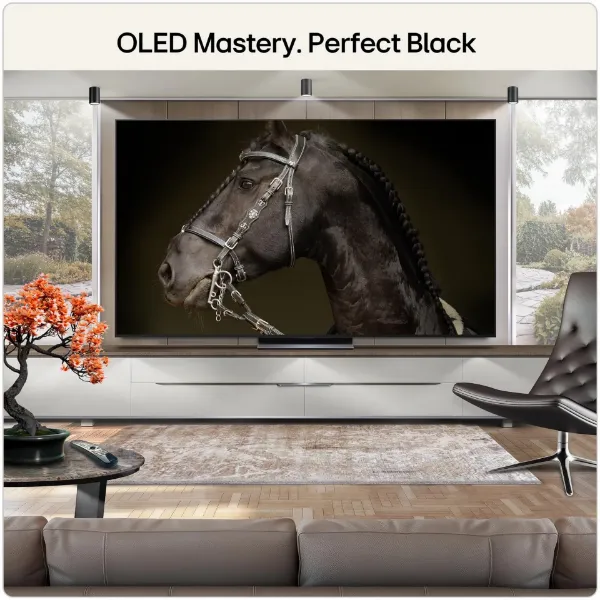 LG OLED83C66LB.AEK 83" 4K OLED Smart TV _room view