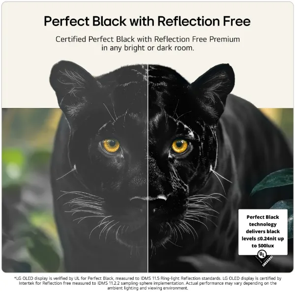 LG OLED77G64LW.AEK 77" 4K OLED 4K Smart TV - Wall mount version_reflection free